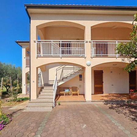 Apartament Viola Three Novigrad  Zewnętrze zdjęcie