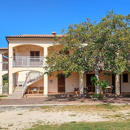Apartament Viola Three Novigrad  Zewnętrze zdjęcie